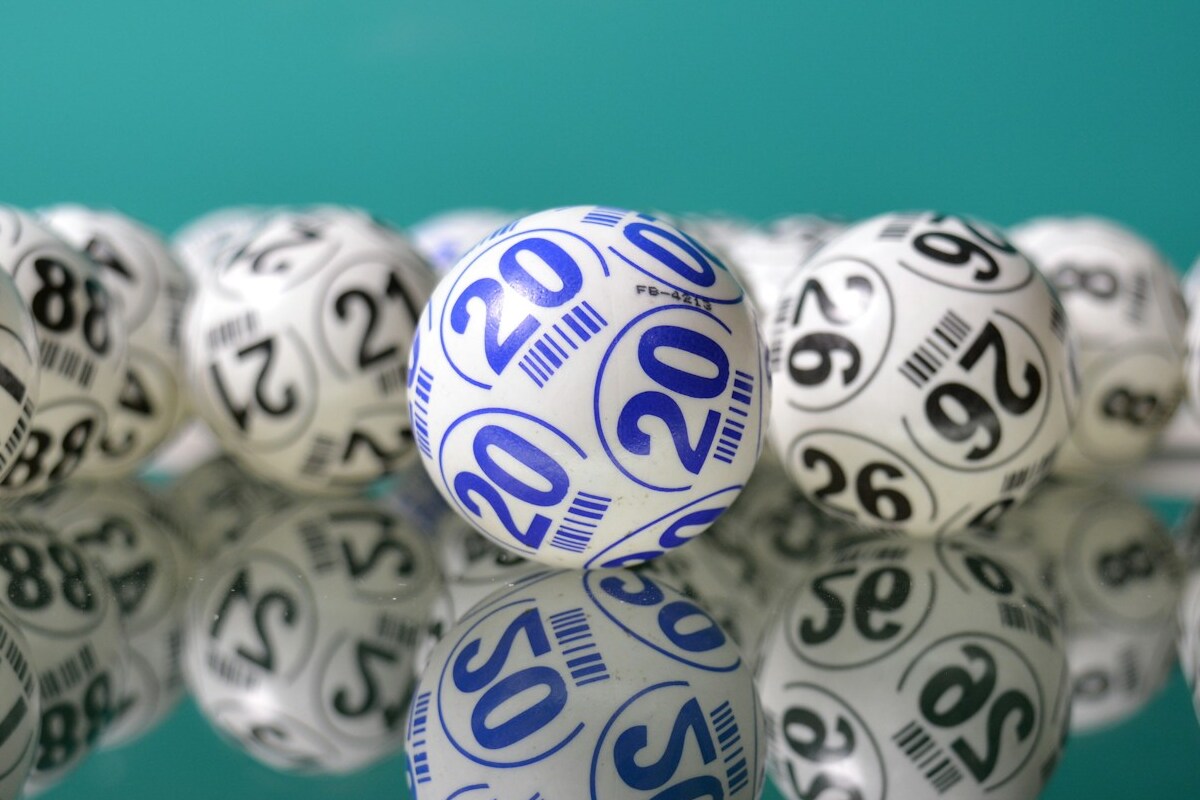 Aprenda a escolher os números da loteria federal
