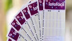 Imagem com vários bilhetes da Lotofácil em formato de leque, usados para apostas na loteria da Caixa Econômica Federal